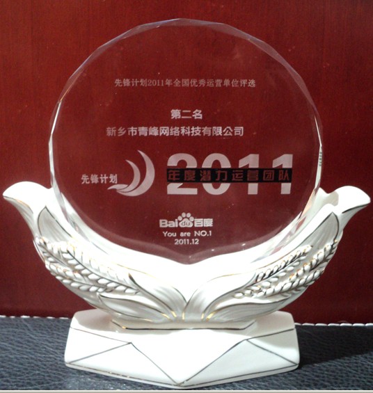 热烈祝贺我公司荣获2011先锋计划年度潜力运营团队奖